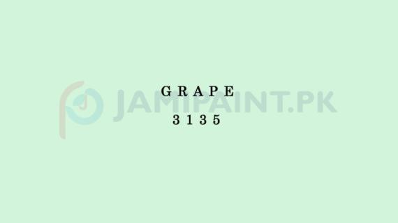 Weldon Matt Enamel Grape 3135