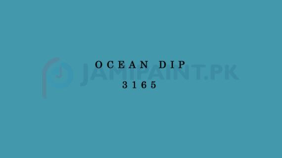 Weldon Matt Enamel Ocean Dip 3165