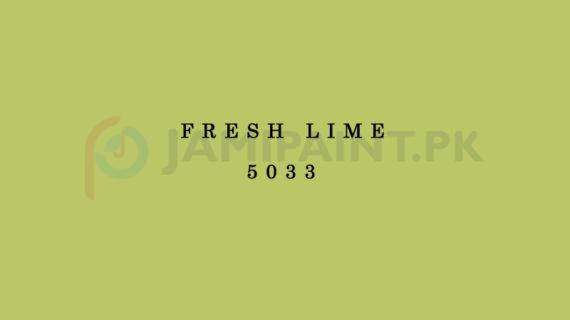 Weldon Matt Enamel Fresh Lime 5033