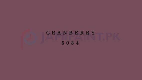 Weldon Matt Enamel Cranberry 5034