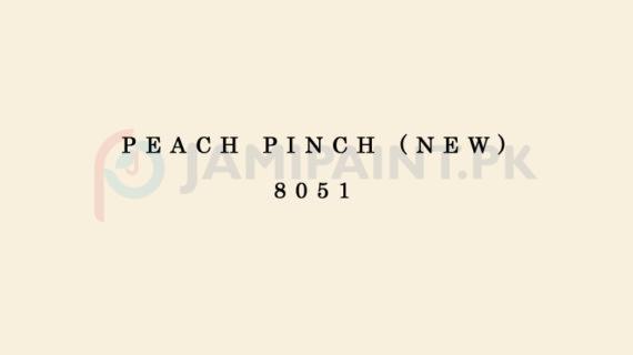 Weldon Silk Decor Peach Pinch (New) 8051