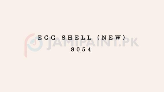 Weldon Silk Decor Egg Shell (New) 8054