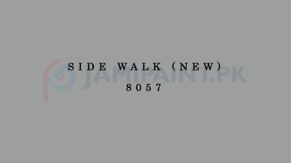 Weldon Silk Decor Side Walk (New) 8057