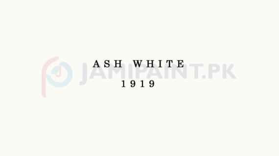 Weldon Weather Shield Plus Ash White 1919