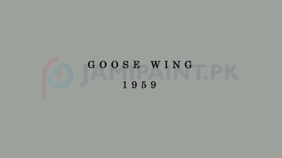 Weldon Weather Shield Plus Goose Wing 1959