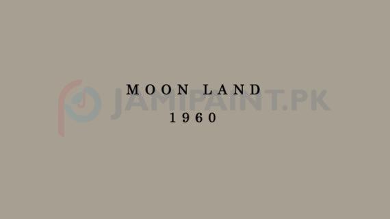 Weldon Weather Shield Plus Moon Land 1960