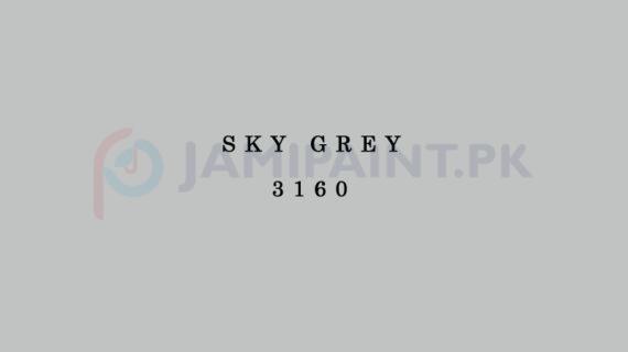 Weldon Weather Shield Plus Sky Grey 3160