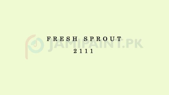 FRESH SPROUT-2111