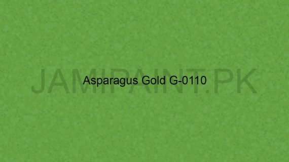 Brighto Sterling Gold And Silver Asparagius Gold G-0110