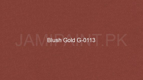 Brighto Sterling Gold And Silver Blush Gold G-0113