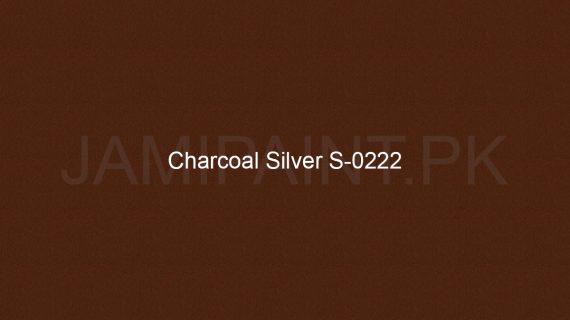 Brighto Sterling Gold And Silver Charcoal Silver S-0222