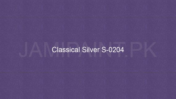 Brighto Sterling Gold And Silver Classical Silver S-0204