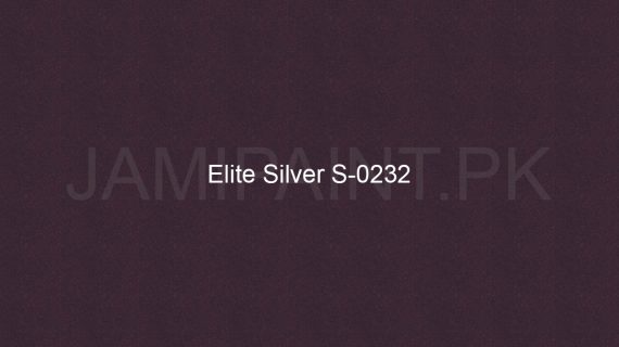 Brighto Sterling Gold And Silver Elite Silver S-0232