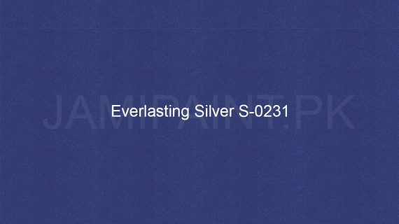 Brighto Sterling Gold And Silver Everlasting Silver S-0231