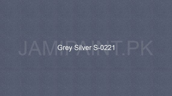 Brighto Sterling Gold And Silver Grey Silver S-0221