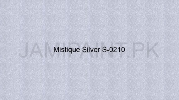 Brighto Sterling Gold And Silver Mistique Silver G-0210