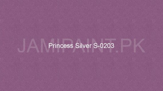 Brighto Sterling Gold And Silver Princess Silver G-0203