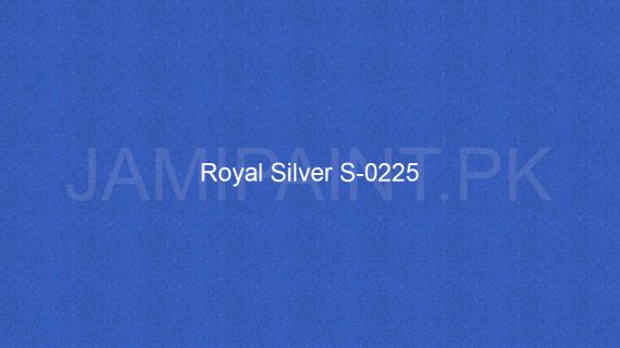 Brighto Sterling Gold And Silver Royal Silver S-0225