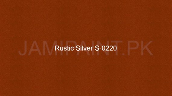 Brighto Sterling Gold And Silver Rustic Silver S-0220