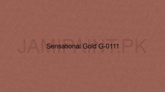 Brighto Sterling Gold And Silver Sensational Gold G-0111