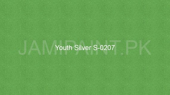 Brighto Sterling Gold And Silver Youth Silver G0207