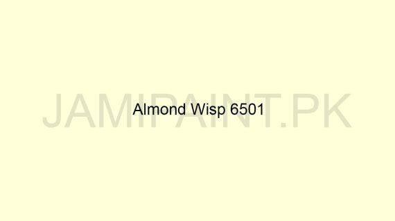Brighto Plastic Emulsion Almond Wisp 6501
