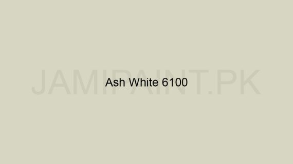 Brighto Plastic Emulsion Ash White 6100