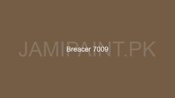 Brighto All Weather Breacer-7009