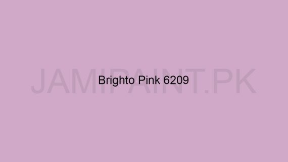 Brighto Plastic Emulsion Brighto Pink 6209
