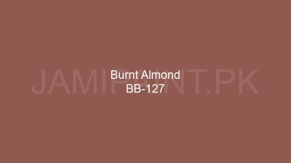 Brighto Boom Burnt Almond BB-127