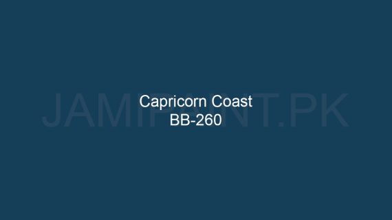 Brighto Boom Capricorn Coast BB-260