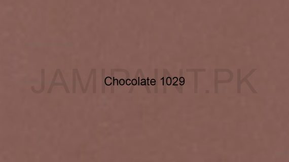 Brighto Wall Emulsion Chocolate 1029