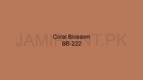 Brighto Boom Coral Blossom BB-222