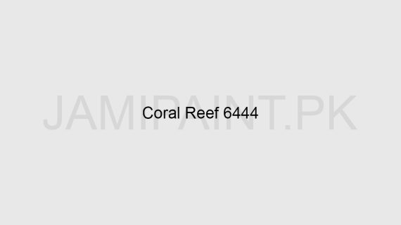 Brighto Plastic Emulsion Coral Reef 6444