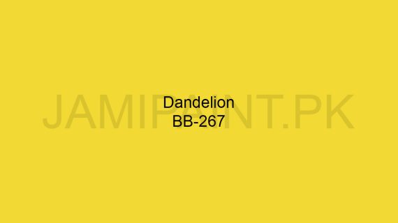 Brighto Boom Dandelion BB-267