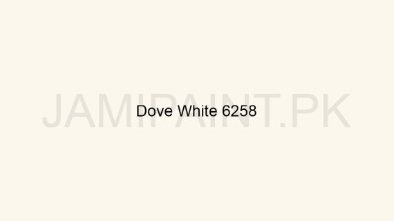 Brighto Plastic Emulsion Dove White 6258