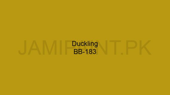 Brighto Boom Duckling BB-183
