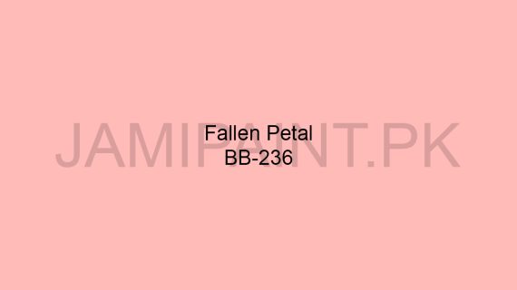 Brighto Boom Fallen Petal BB-236