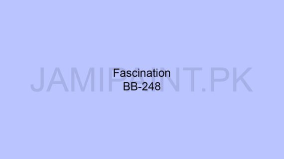 Brighto Boom Fascination BB-248