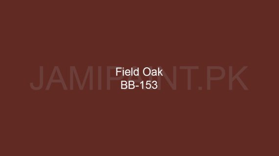 Brighto Boom Field Oak BB-153