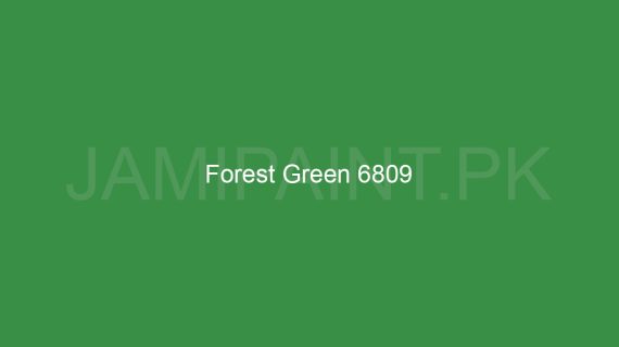 Brighto Plastic Emulsion Forest Green 6809