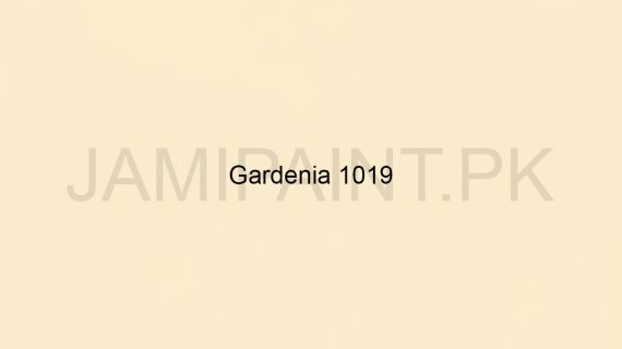 Brighto Wall Emulsion Gardenia 1019