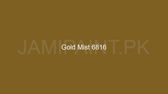 Brighto Plastic Emulsion Gold Mist 6816