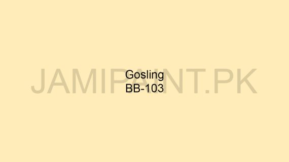 Brighto Boom Gosling BB-103