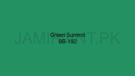 Brighto Boom Green Sumit BB-192