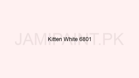 Brighto Plastic Emulsion Kitten White 6801