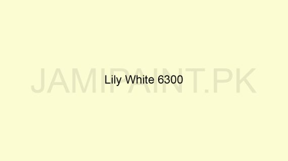 Brighto Plastic Emulsion Lily White 6300