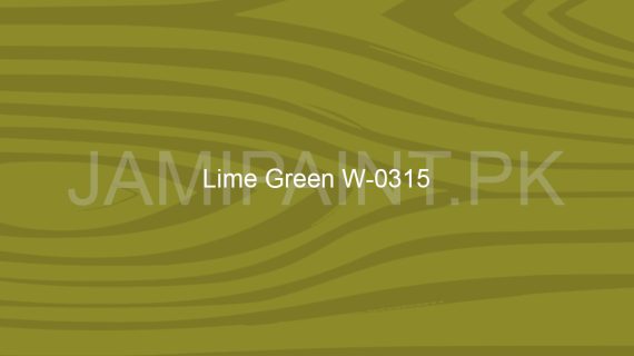 Brighto All Wood coat Lime Green W-0315