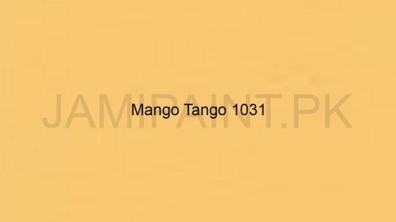 Brighto Wall Emulsion Mango Tango 1031