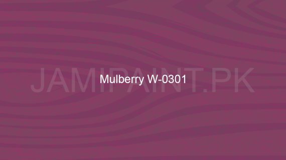 Brighto All Wood coat Mulbery W-0301